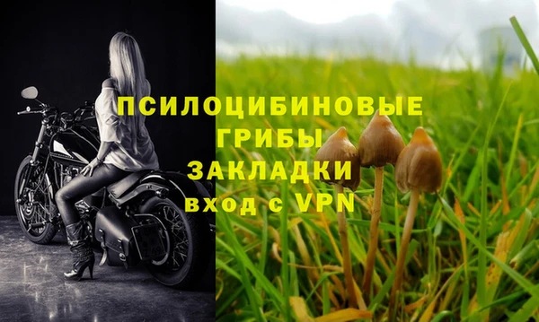 мескалин Абаза